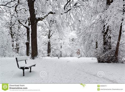 Winter Park After Snowfall Stock Image Image Of Beautiful 83688573