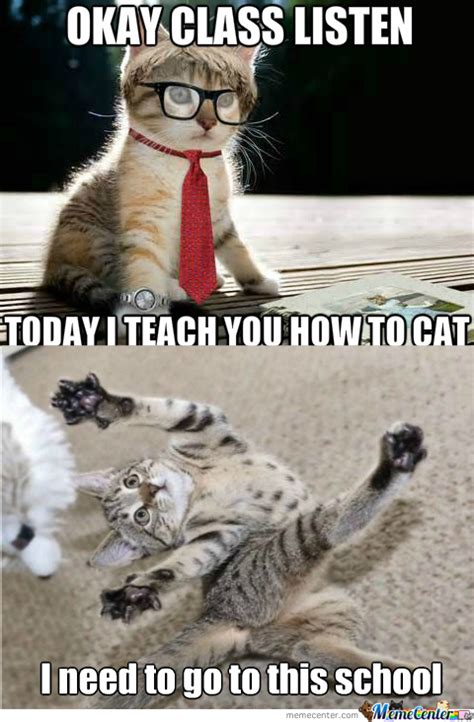 Rmx Teacher Cat By Muromies13 Meme Center