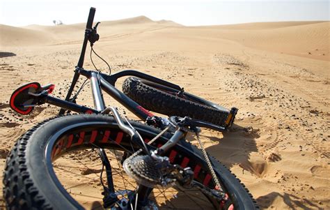10 Reasons To Take A Desert Fat Bike Ride Desert Safari Dubai