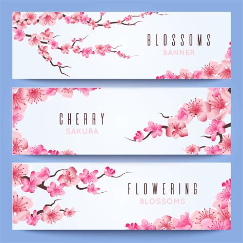 Wedding Banners Template With Spring Japan Sakura Cherry Blossom By