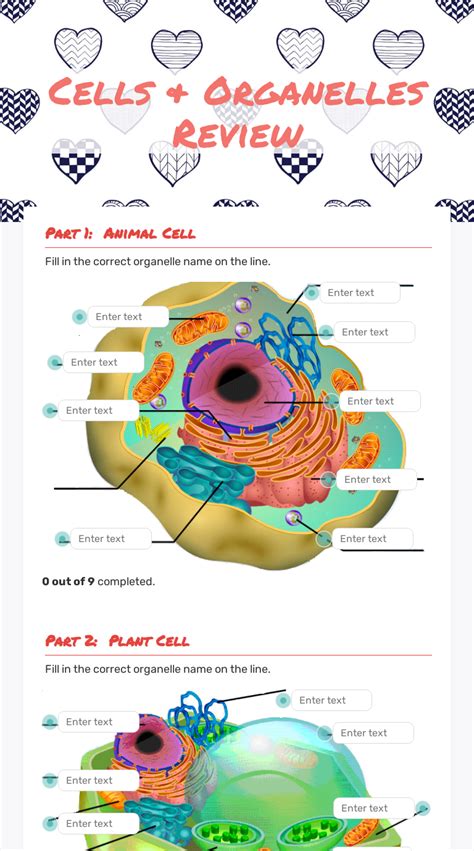 Cells And Organelles Review Interactive Worksheet By Kristina Mueller