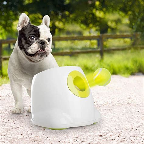 All For Paws Interactive Automatic Ball Launcher Dog Toy Tennis Ball