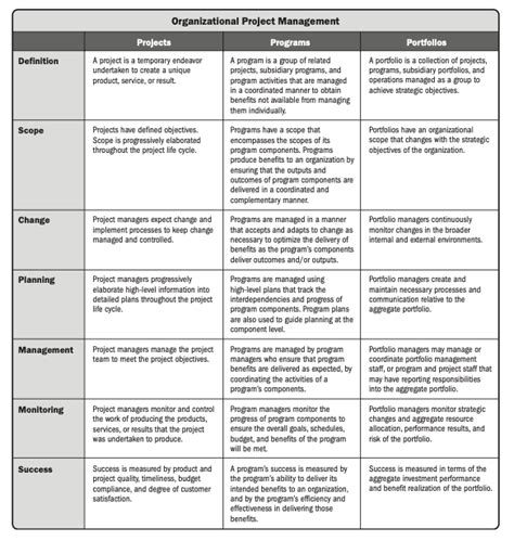 Program Management Professional Role Responsibilities ProThoughts