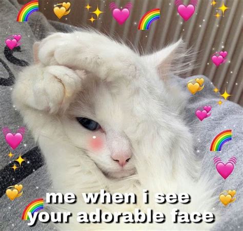 P I N Myheartisacastle Cute Love Memes Cute Cat Memes Cat Memes