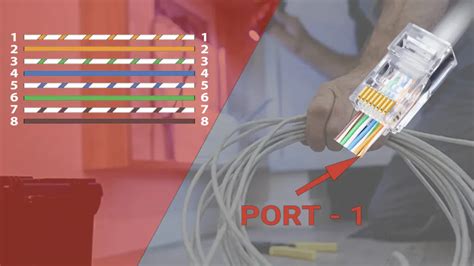 Cat 5 Cable Diagram Wiring Cable Order