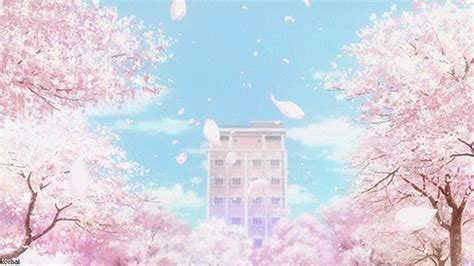 Cherry Blossom Anime Background  Japanese Cherry Blossoms S Get