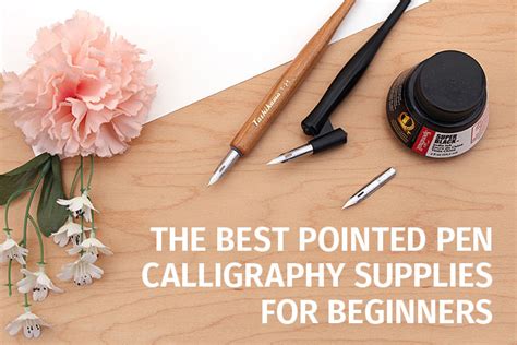 Calligraphy For Beginners Using A Pointed Pen