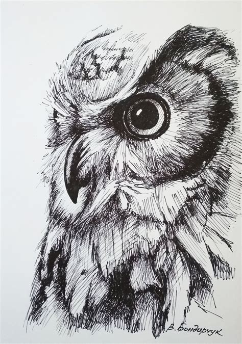 Owl Original Drawing Soulmate Drawing Black And White Trendy Etsy