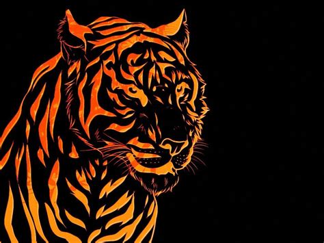 Minimalist Tiger Wallpapers Top Free Minimalist Tiger Backgrounds