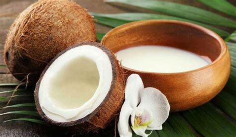 Daun pandan dipercaya dapat menjadi obat herbal untuk berbagai penyakit karena mengandung sejumlah zat, semisal polifenol, flavonoid, glikosida, saponin, dan alkaloid. daun-pandan-dan-santan-sebagai-cara-semula-jadi-untuk ...