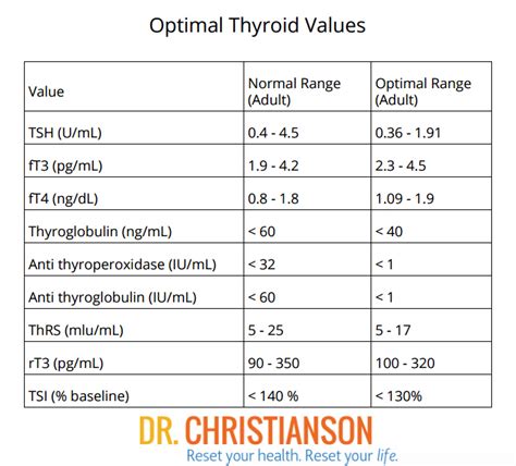 The Right Thyroid Dose For Better Energy And Weight Loss Dr Alan