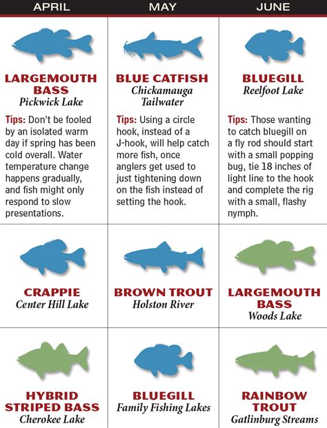 No supplemental licenses are required, but special season and wma permits will . Tennessee 2016 Fishing Calendar - Game & Fish