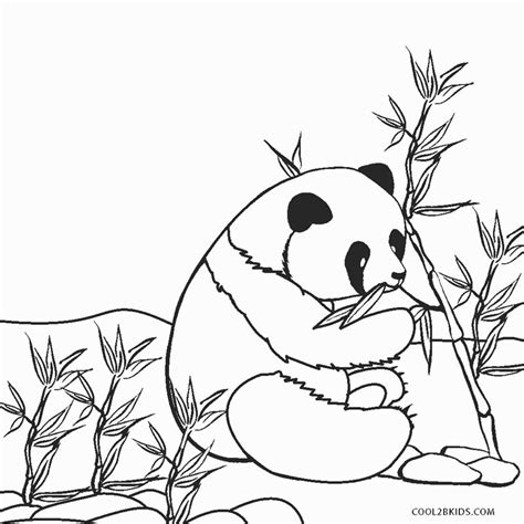 Dibujos De Panda Animales Para Colorear P 225 Ginas Imprimibles Gratis