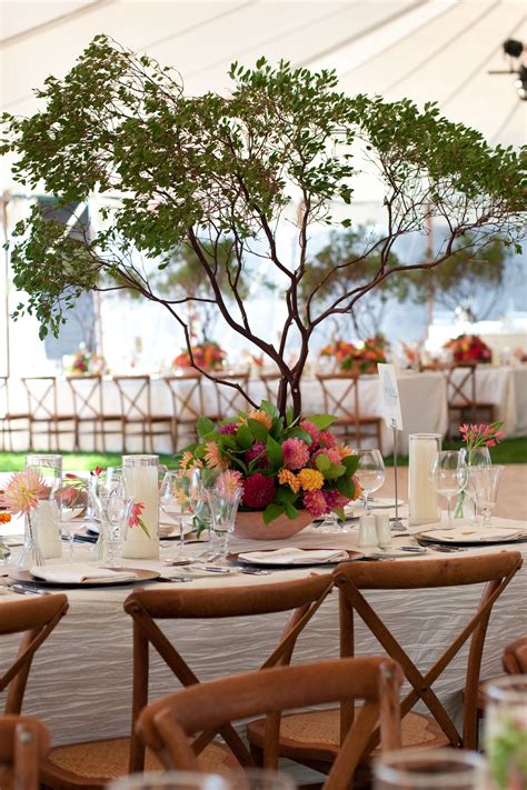 Stunning Manzanita Trees With Floral Bases For A Sonoma Wedding At The