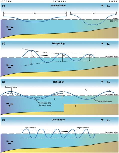 Conceptual Mechanisms Influencing The Propagation Of Tidal Waves In