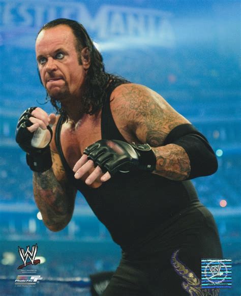 Wwf The Undertaker 8x10 Color Photo 2009 Fight Photo File Licensed