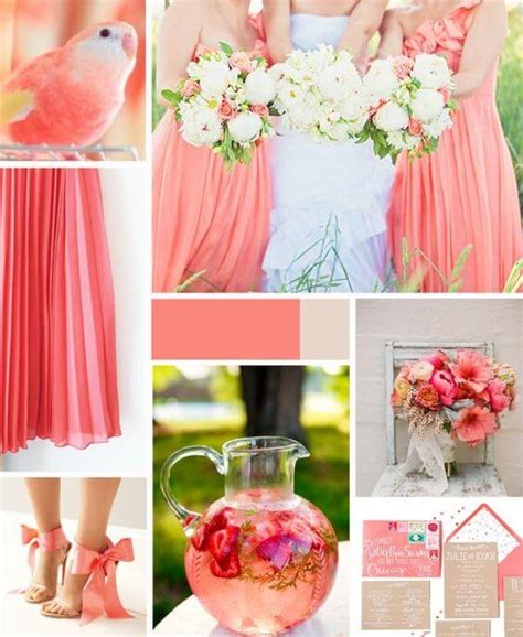 11 Best Colors That Go With Coral Everafterguide