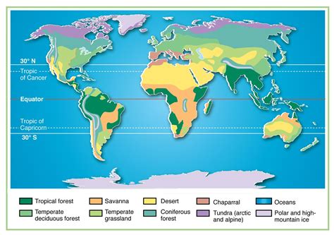 Map Of Global Biomes Earth And Biodiversity Of Biomes
