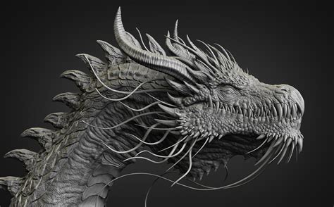 Dragon Sculpt In Zbrush Zbrushcentral