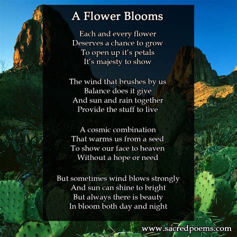 A Flower Blooms Is An Inspirational Poem By Robert Longley About