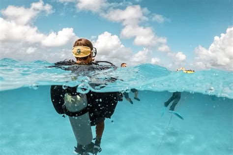 San Pedro Belize Diving Tours Belize Barrier Reef Blue Hole Dive