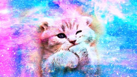 Cute Kitten Galaxy Pink Wallper Background Wallpeper