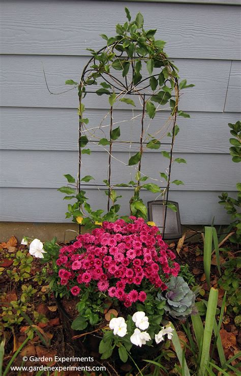 Got Bad Soil Go With A Container Garden