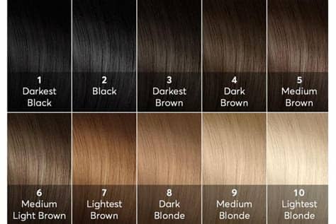 It is important for an individual to be able to quickly create a hair color chart, and they will be able to do that when they have the right template available to them. DIY Hair: High Lift Hair Color Guide | Bellatory