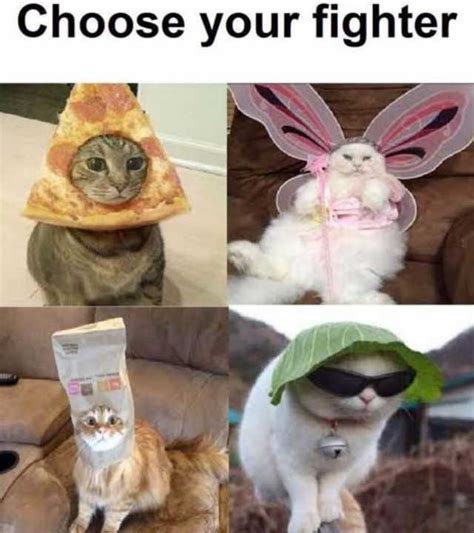Choose Your Fighter Meme Template