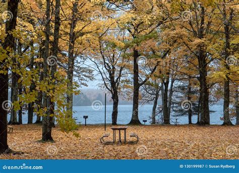 Beautiful Autumn Leaves On Trees In A Park Overlooking A Lake On A