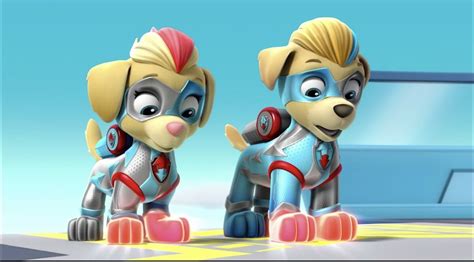 Mighty Twins Adventures Of The Paw Patrol 2 Wiki Fandom