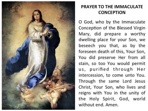 Anne), which originated in the monasteries of palestine at least as early as the seventh century, and the this feast in the course of centuries became the feast of the immaculate conception, as dogmatical argumentation brought. Making Things Visible: Pope Benedict XVI - Immaculate ...
