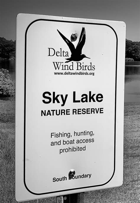 Sky Lake — Delta Wind Birds