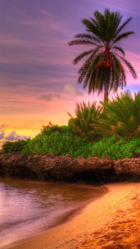 61 Tropical Island Sunset Wallpaper