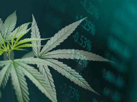 2 Cannabis Stocks To Watch In October 2023 Toking Times