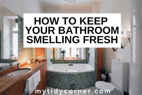 How To Keep Your Bathroom Smelling Fresh Odor Eliminating Tips