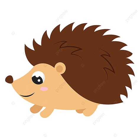 Baby Hedgehog Clipart Vector Cute Baby Hedgehog Illustration Vector On