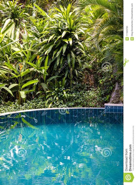 Swimming Pool Water And Green Palm Tree Leaves In Tropical