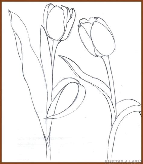 磊 Dibujos De Tulipanes【30】fáciles Y Gratis