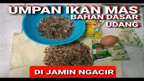 RACIKAN UMPAN IKAN MAS BAHAN DASAR UDANG Bintang Fishing Official