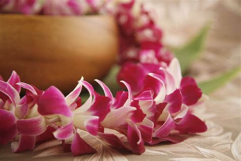 Orchid Leis Fresh Hawaiian Flower Leis Shipped Nationwide