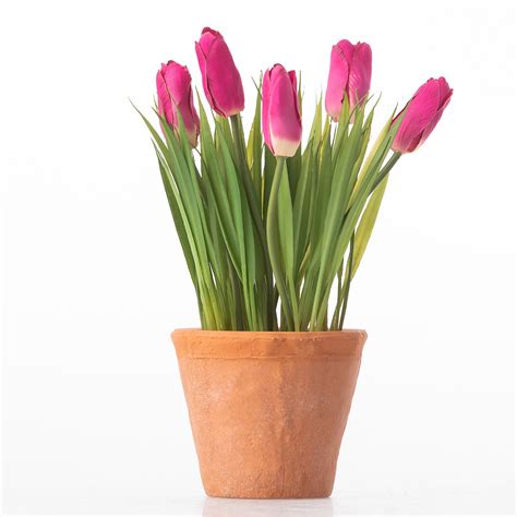 Artificial Plants Everlasting Potted Pink Tulip