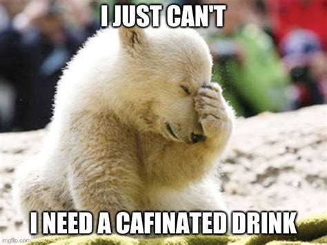 Sad Polar Bear Imgflip