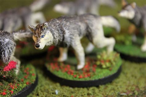 Dungeons And Dragons Wolves Otherworld Miniatures Scrollmaster