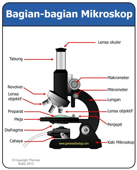 Gambar Mikroskop Fungsi Dan Bagiannya Serat