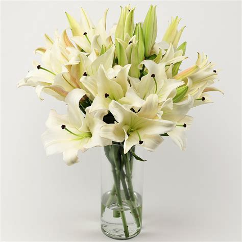 6 White Oriental Lilies In Glass Vase Gift Online Lilies Glass Vase