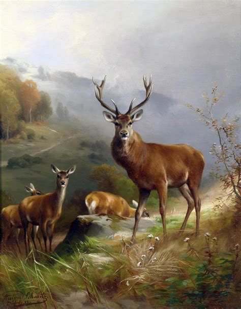 Deer Stag Vintage Painting Free Stock Photo Public Domain Pictures
