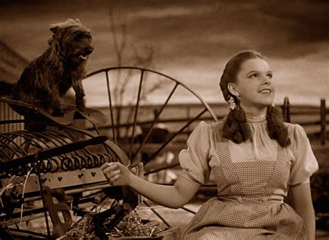 Pin By Martha On Wizard Of Oz Wizard Of Oz 1939 Wizard Of Oz Mbti