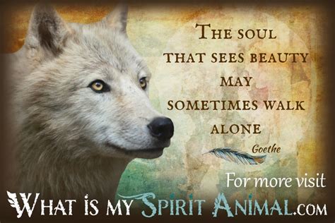 Wolf Quotes And Sayings Animal Quotes And Sayings