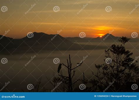 Beautiful Sky Sunrise Mountain Layer In Morning Sun Ray And Winter Fog